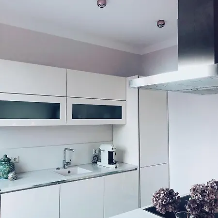 Luxus 5 Zi-wohnung + Balkon In Top-lage Ffm+klima Apartment